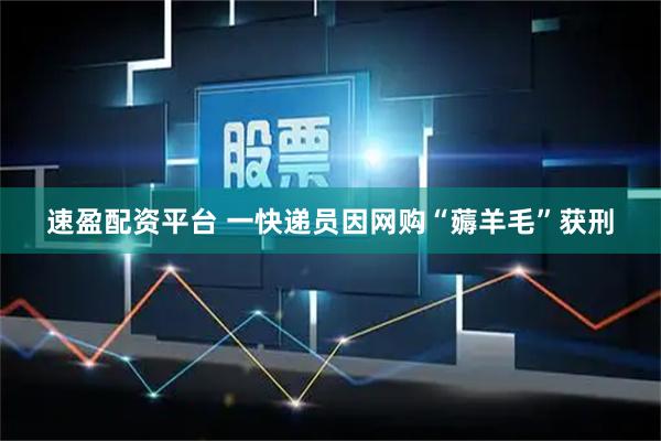 速盈配资平台 一快递员因网购“薅羊毛”获刑