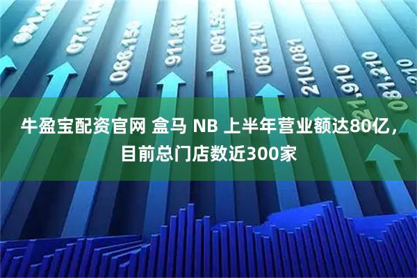 牛盈宝配资官网 盒马 NB 上半年营业额达80亿，目前总门店数近300家
